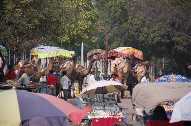 TajMahal01.jpg