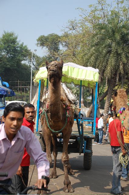 TajMahal02.jpg